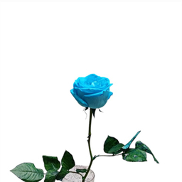 شاخه گل طبیعی گلی کد 20088