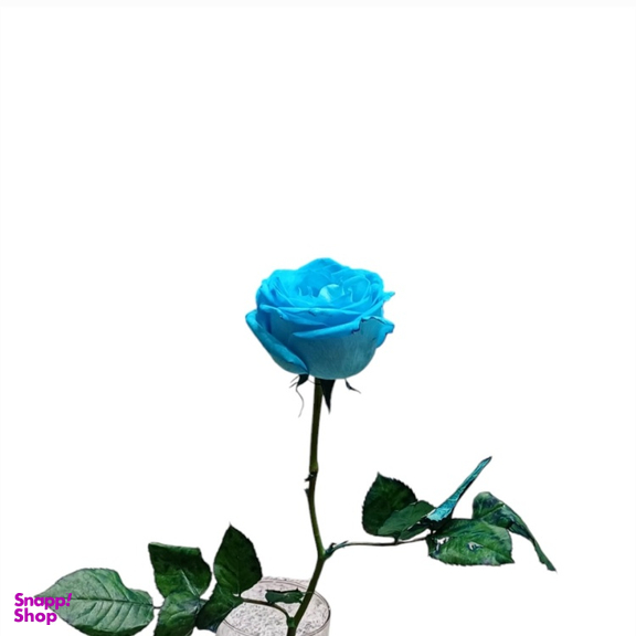 شاخه گل طبیعی گلی کد 20088