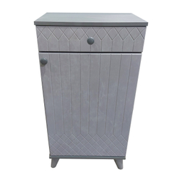 جاکفشی مدل پایا