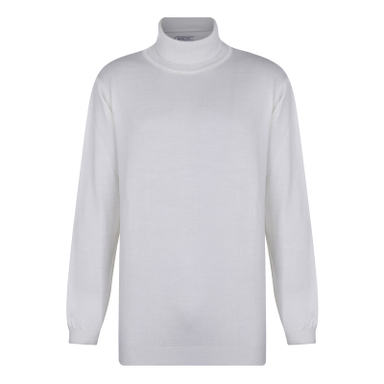 پلیور یقه اسکی مردانه ایزی دو مدل 2010004101804