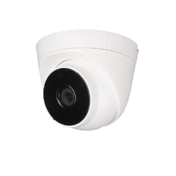 ماکت دوربین مداربسته NSI مدل Dome