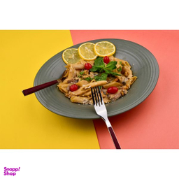 سرویس چاقو و چنگال سی اند اس کد 301075