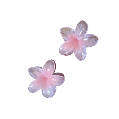 کلیپس مو زنانه مدل پلومریا بسته 2 عددی