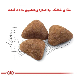 غذای خشک گربه رویال کنین مدل Indoor Home Life وزن 2 کیلوگرم