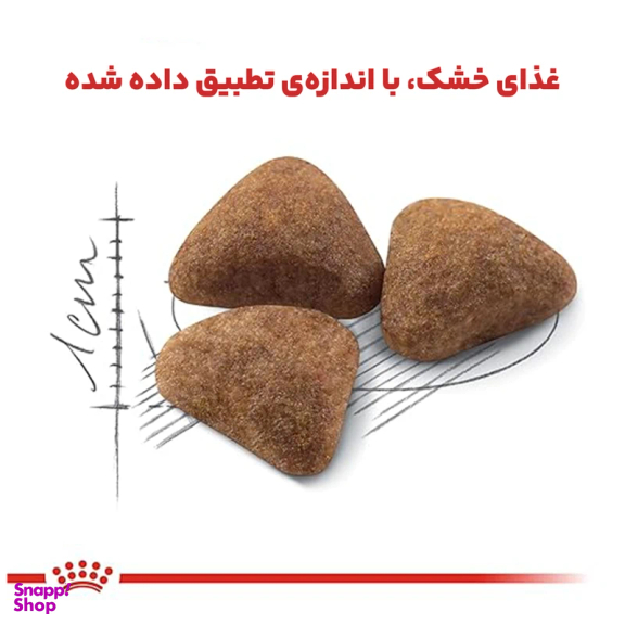 غذای خشک گربه رویال کنین مدل Indoor Home Life وزن 2 کیلوگرم