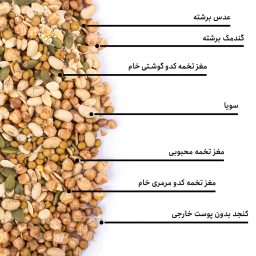 مخلوط آجیل رژیمی بارجیل