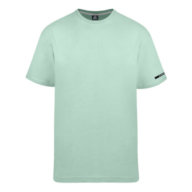 تیشرت مردانه وستیتی مدل 06 رنگ سبز روشن
