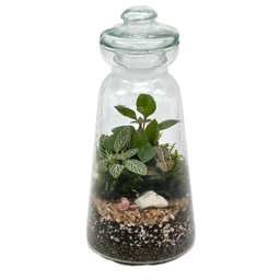 تراریوم مدل فانوس