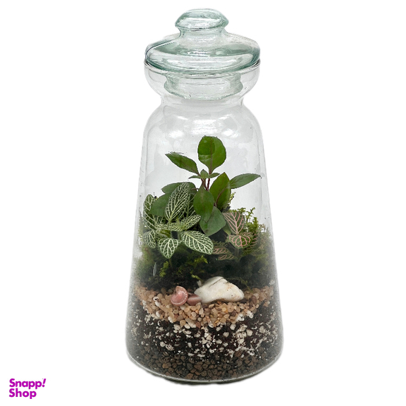 تراریوم مدل فانوس