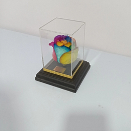 گل خشک رز جاودان کد 507