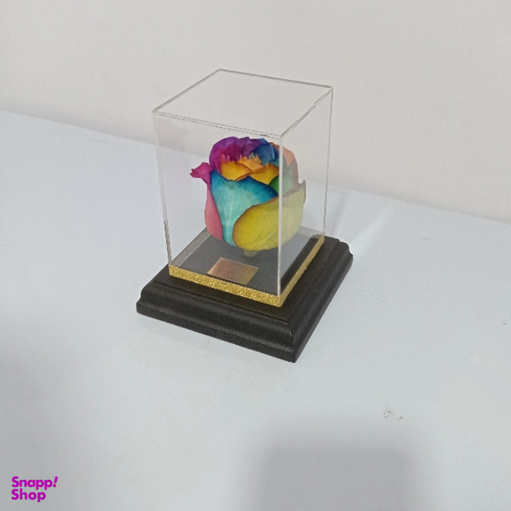گل خشک رز جاودان کد 507
