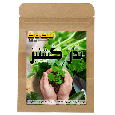 بذر گشنیز اصلاح شده آنتیک خاک مدل GZ