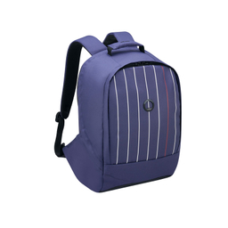 کوله پشتی دلسی مدل SECUR BAN کد 3334603