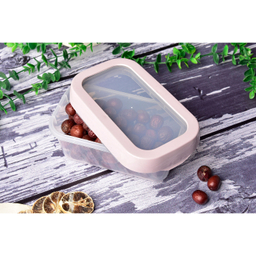 ظرف نگهدارنده آریاسام مدل Lockablle کد 217