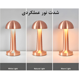چراغ رومیزی شارژی مدل قارچ