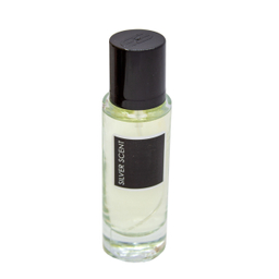 عطر جیبی مردانه پرستیژ مدل سیلور سکنت