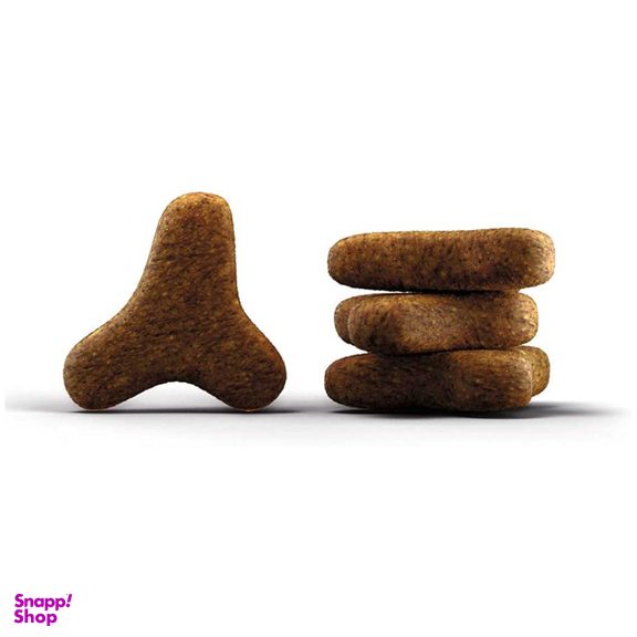 غذای خشک گربه جوسرا مدل کولینس وزن 2 کیلوگرم