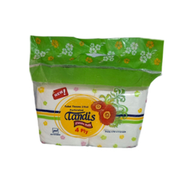 دستمال توالت تندیس بسته 2 عددی