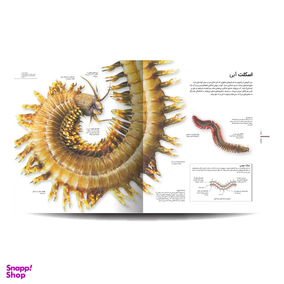 کتاب دایره المعارف مصور جانور شناسی اثر جیمی امبروز انتشارات سایان