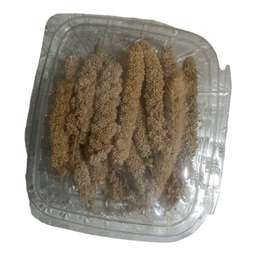 غذای پرندگان مدل ارزن خوشه ای ریز کد 08 بسته 30 عددی