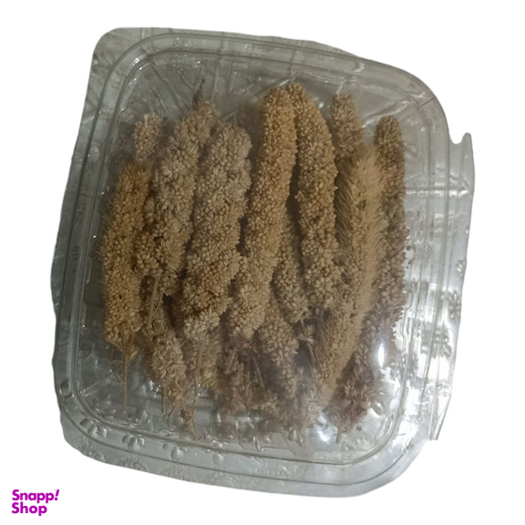 غذای پرندگان مدل ارزن خوشه ای ریز کد 08 بسته 30 عددی