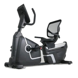 دوچرخه ثابت اشلون کد EF1769R