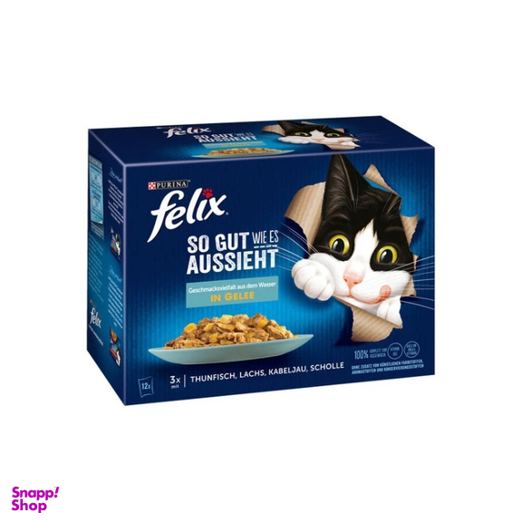 پوچ گربه فلیکس طعم ماهی تن وزن 85 گرم