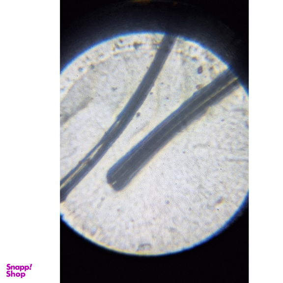 میکروسکوپ کامار مدل دانش آموزی کد 750X به همراه نمونه آماده