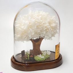 باکس درختچه گل هورتانسیا جاودان مدل آدونیس رز رنگ سفید