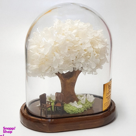 باکس درختچه گل هورتانسیا جاودان مدل آدونیس رز رنگ سفید