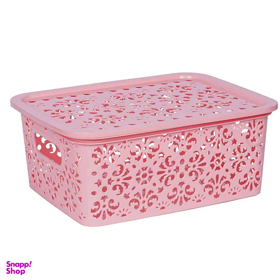 نظم دهنده اشکان مدل D151