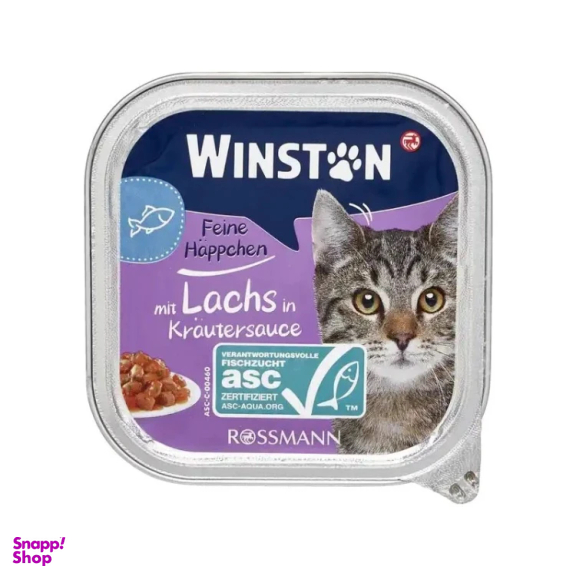 کنسرو غذای گربه وینستون مدل ماهی و سبزیجات وزن 100 گرم