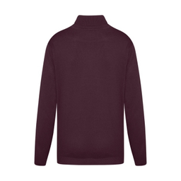 پلیور یقه اسکی مردانه ایزی دو مدل GD-s-16898934