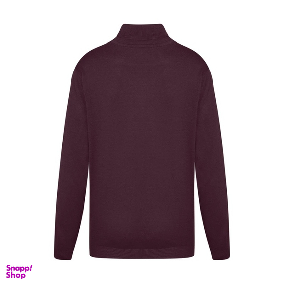 پلیور یقه اسکی مردانه ایزی دو مدل GD-s-16898934