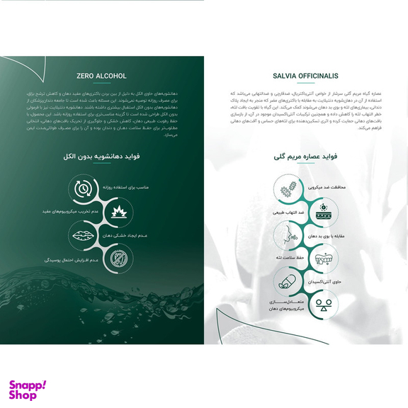 دهان شویه دنتیلایت مدل پست بیوتیک حجم 500 میلی لیتر