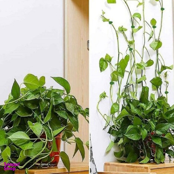 گیره نگهدارنده مدل تی بی 20 عددی