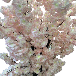 درختچه شکوفه درسا کد 5712 رنگ صورتی