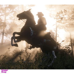 بازی ویدیویی Red Dead Redemption 2 مناسب برای کنسول بازی سونی PS4