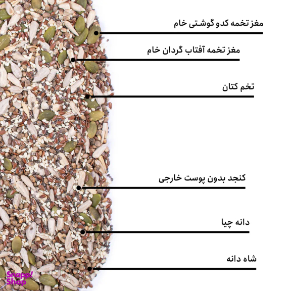 مخلوط آجیل آهن و منیزیم بارجیل