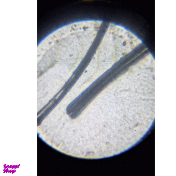 میکروسکوپ کامار مدل دانش آموزی کد 900FZ7