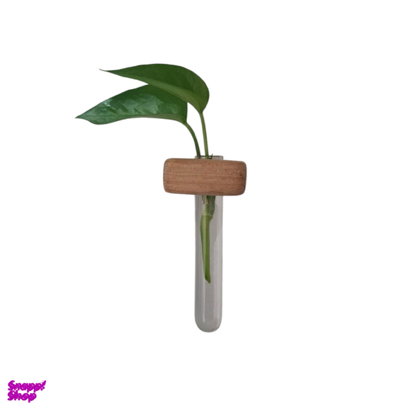 مگنت یخچال کد 6867 بسته 2 عددی