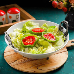 کاسه دسته پیوتر مدل ریلی سایز 28