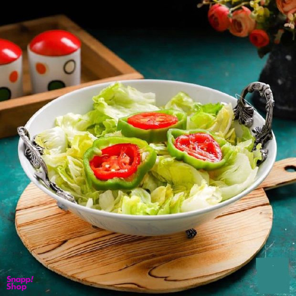 کاسه دسته پیوتر مدل ریلی سایز 28