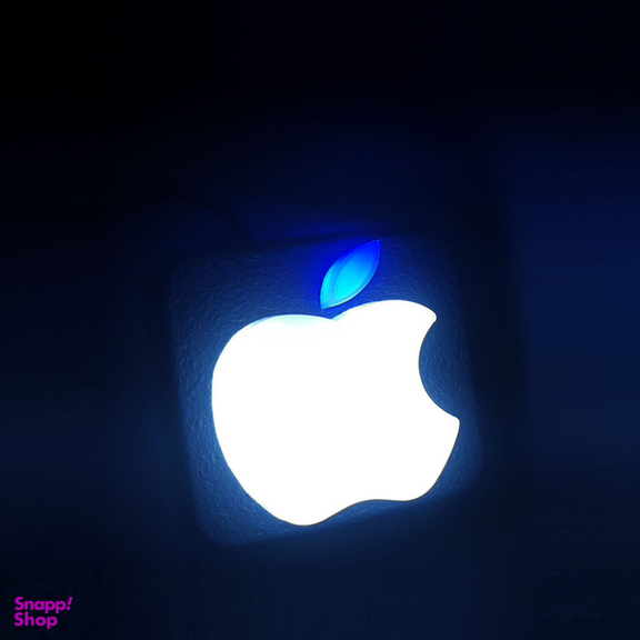 چراغ سقف خودرو چیکال مدل اپل کد P-879