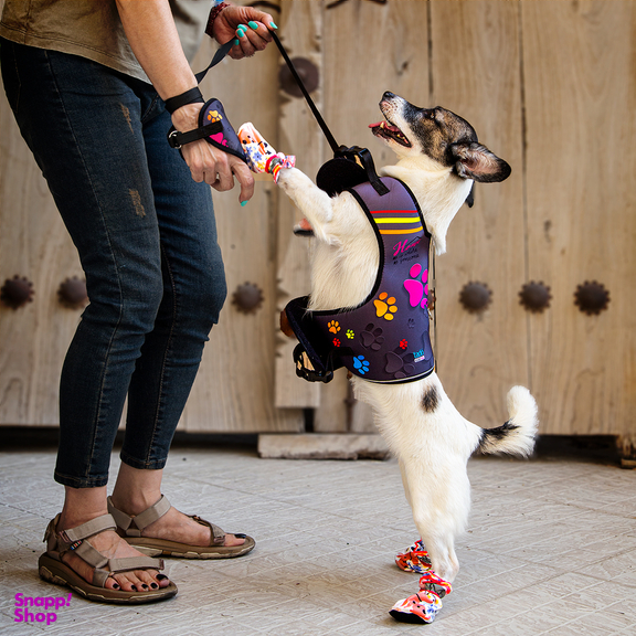 قلاده کتفی سگ و گربه تادو کد S108 سایز M