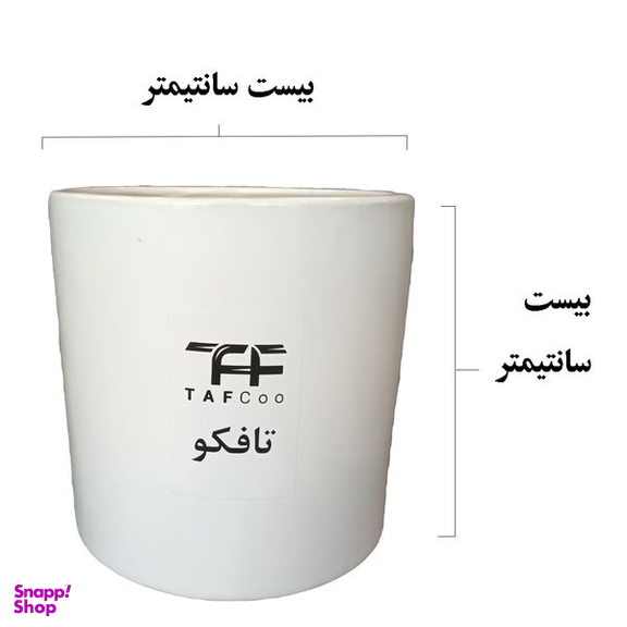 گیاه طبیعی نخل اریکا تافکو کد 2038