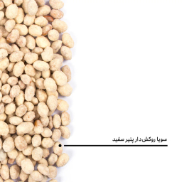 سویا روکش دار پنیر سفید بارجیل