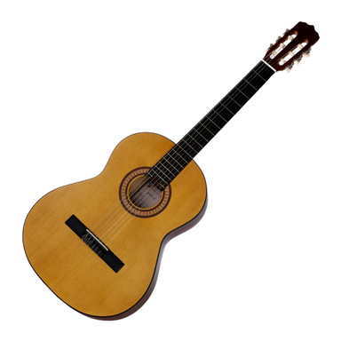 گیتار پارسی مدل M2