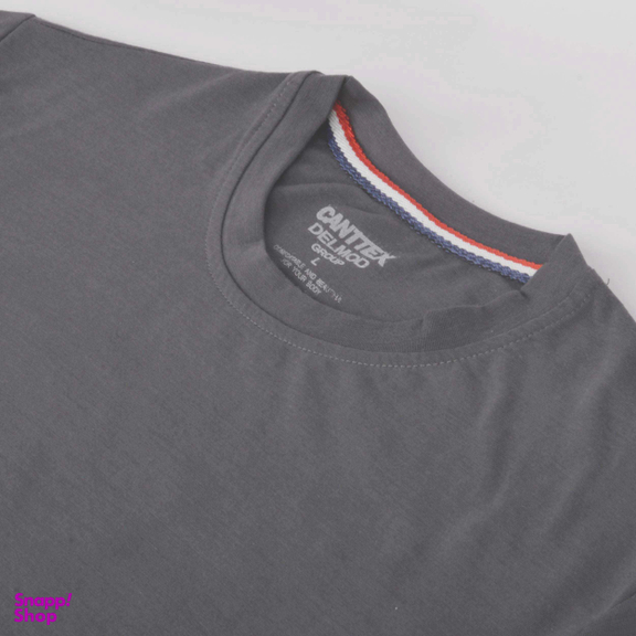 تی شرت آستین کوتاه مردانه دلمود مدل 249012515 رنگ طوسی