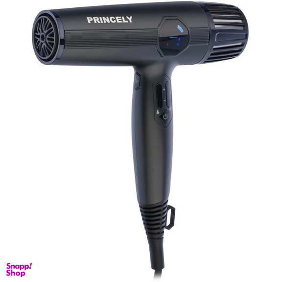 سشوار حرفه ای پرینسلی مدل PR-280AT